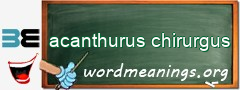 WordMeaning blackboard for acanthurus chirurgus